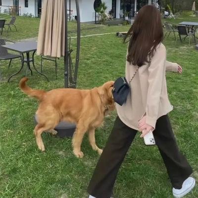 伊沃克人：为恩多而战